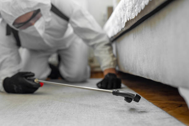 Professional Mosquito Control technician working in South Alamo, TX