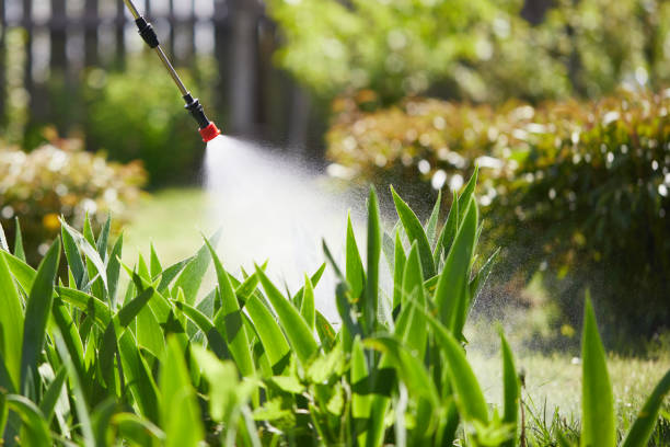 24/7 Emergency Mosquito Control experts in South Alamo, TX