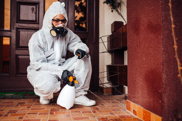 Reliable Mosquito Control contractor in South Alamo, TX by Nex Pest Control